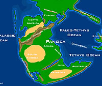 パンゲア大陸